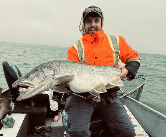 Lake Trout