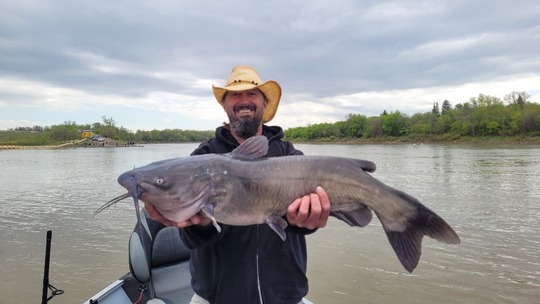 Channel Catfish