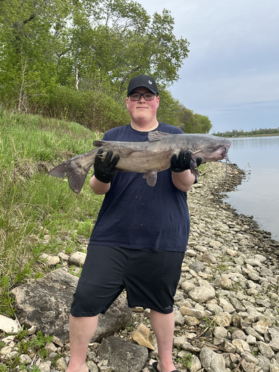 Channel Catfish