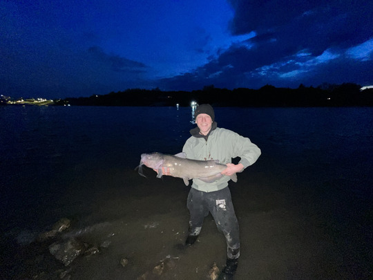 Channel Catfish