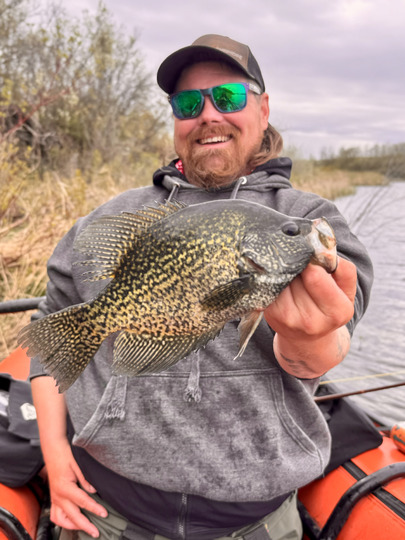 Black Crappie