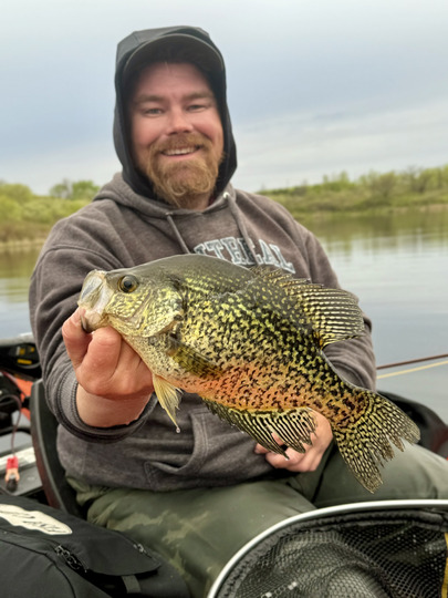 Black Crappie