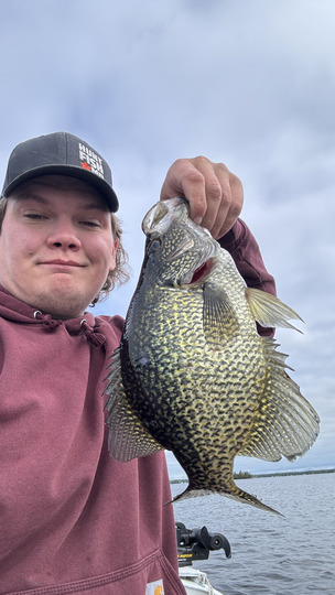 Black Crappie