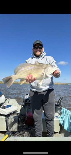 Freshwater Drum