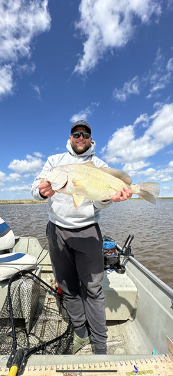 Freshwater Drum