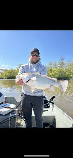 Freshwater Drum