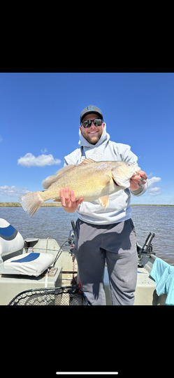 Freshwater Drum