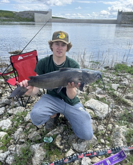 Channel Catfish