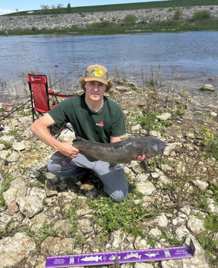 Channel Catfish
