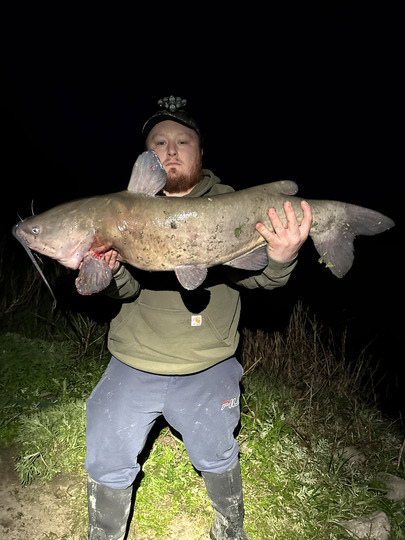 Channel Catfish