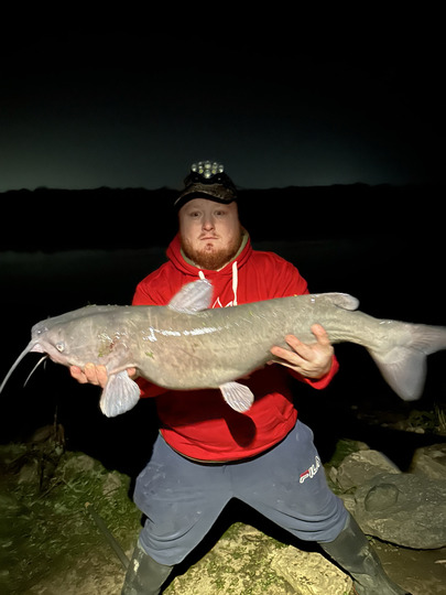 Channel Catfish