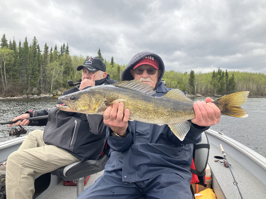 Walleye