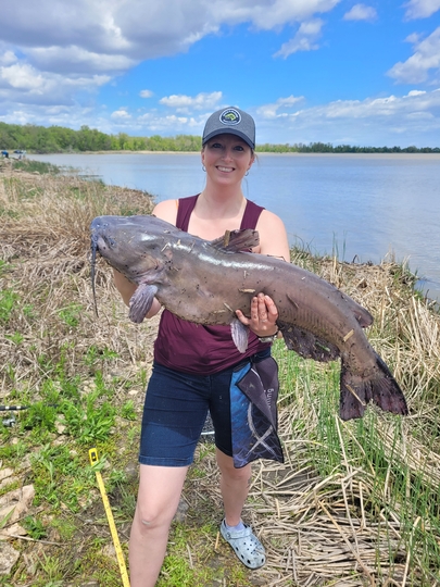 Channel Catfish