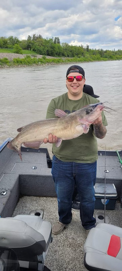 Channel Catfish