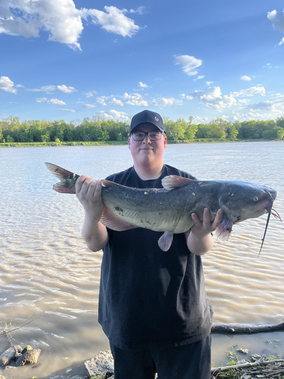 Channel Catfish