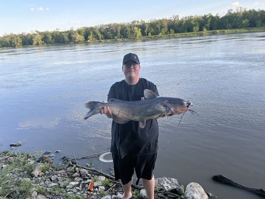 Channel Catfish
