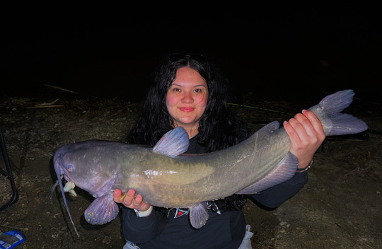 Channel Catfish
