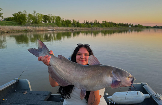 Channel Catfish