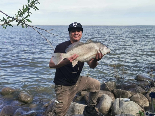 Freshwater Drum