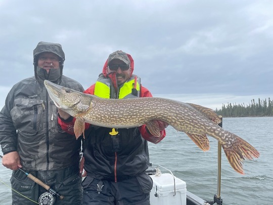 Northern Pike