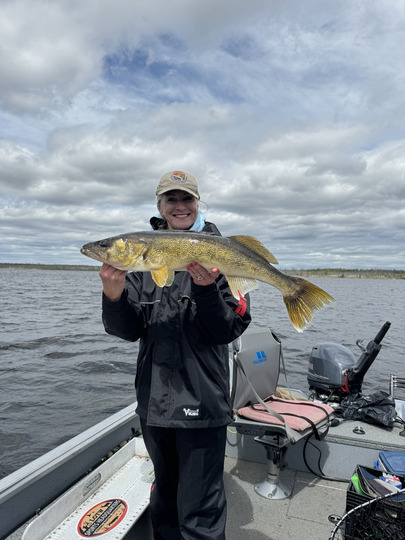 Walleye