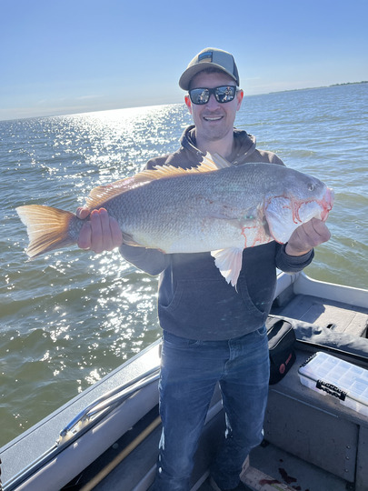 Freshwater Drum