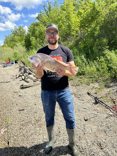 Freshwater Drum
