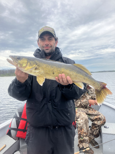 Walleye