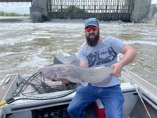 Channel Catfish