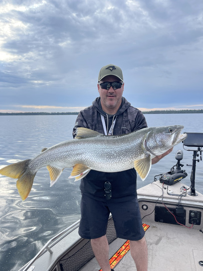 Lake Trout