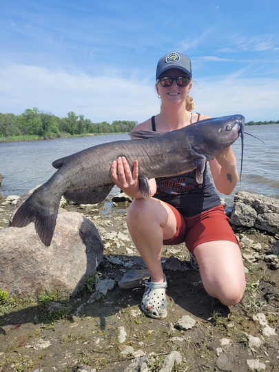 Channel Catfish