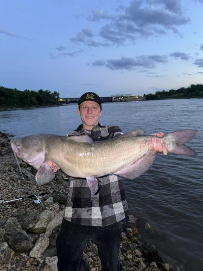Channel Catfish