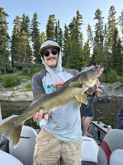 Walleye