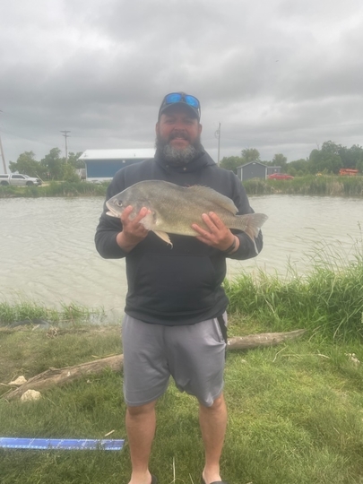 Freshwater Drum