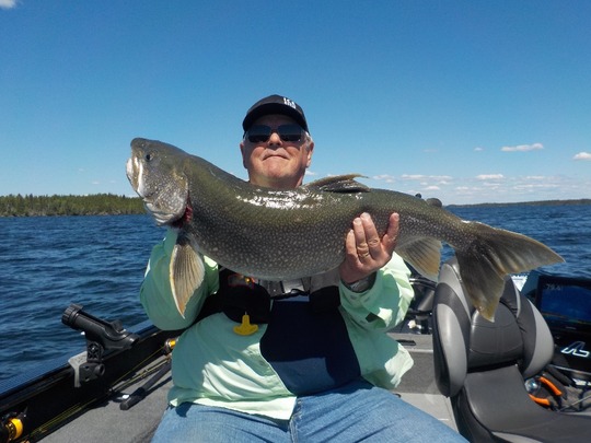 Lake Trout