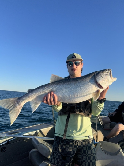 Lake Trout