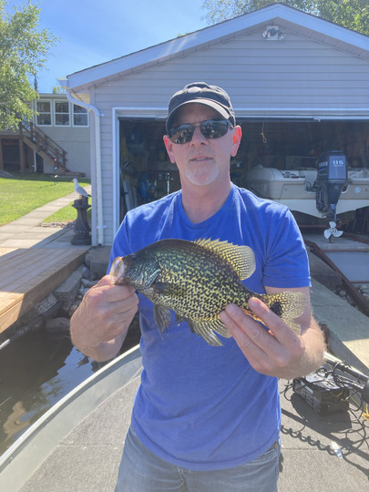 Black Crappie