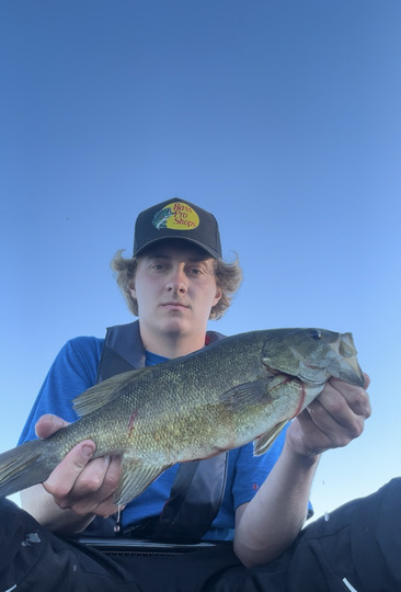 Smallmouth Bass