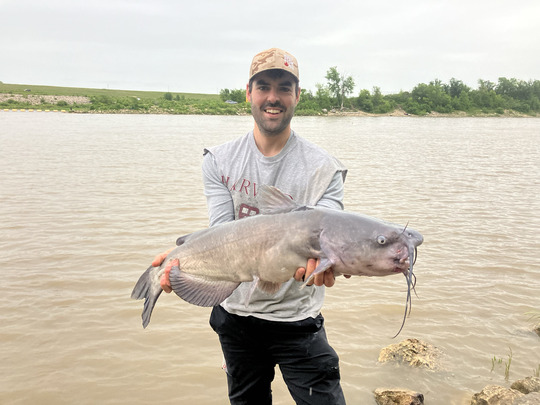 Channel Catfish