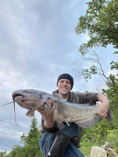 Channel Catfish