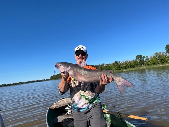Channel Catfish