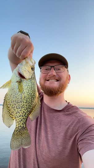 Black Crappie