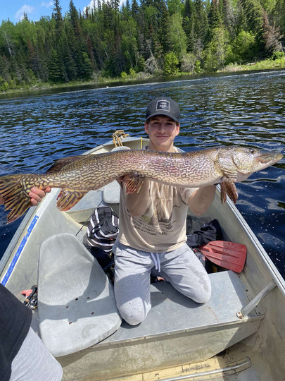Northern Pike