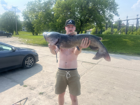 Channel Catfish
