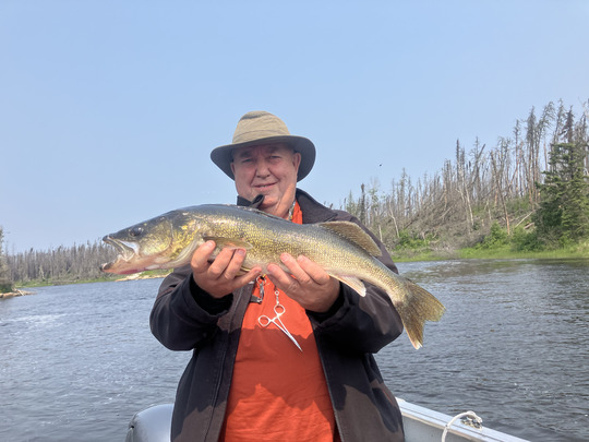 Walleye