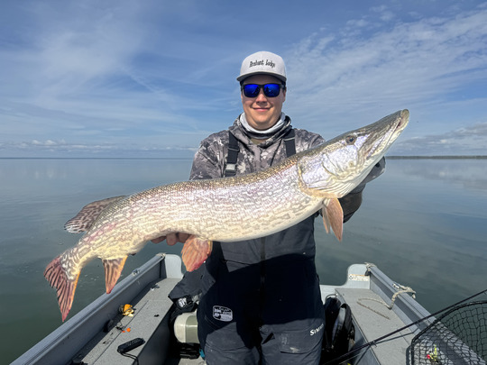 Northern Pike