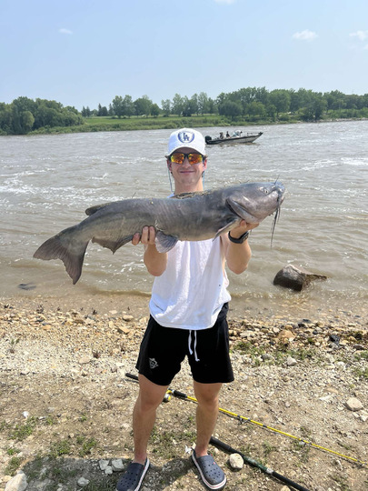 Channel Catfish