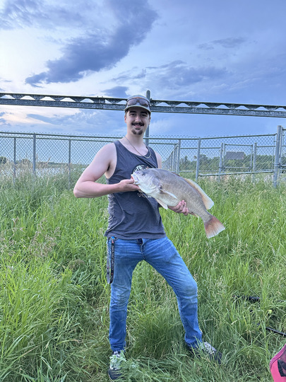 Freshwater Drum