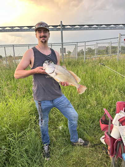 Freshwater Drum