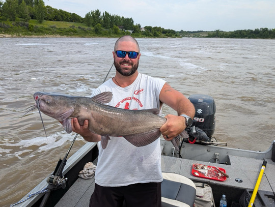 Channel Catfish